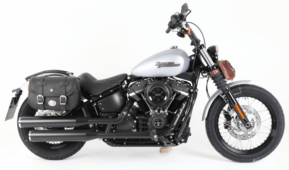 C-Bow sidecarrier chrome for Harley-Davidson Softail Standard (2020-)